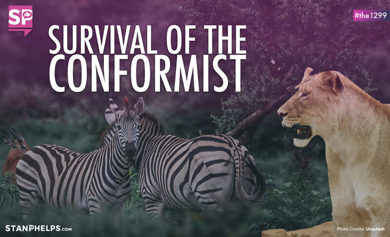 What ZEBRAS can teach us about human motivation and business strategy