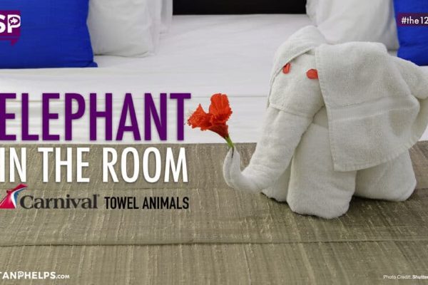 Elephant in the room