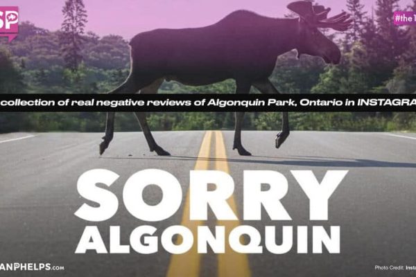 Algonquin