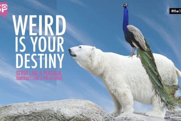 Weird is your destiny
